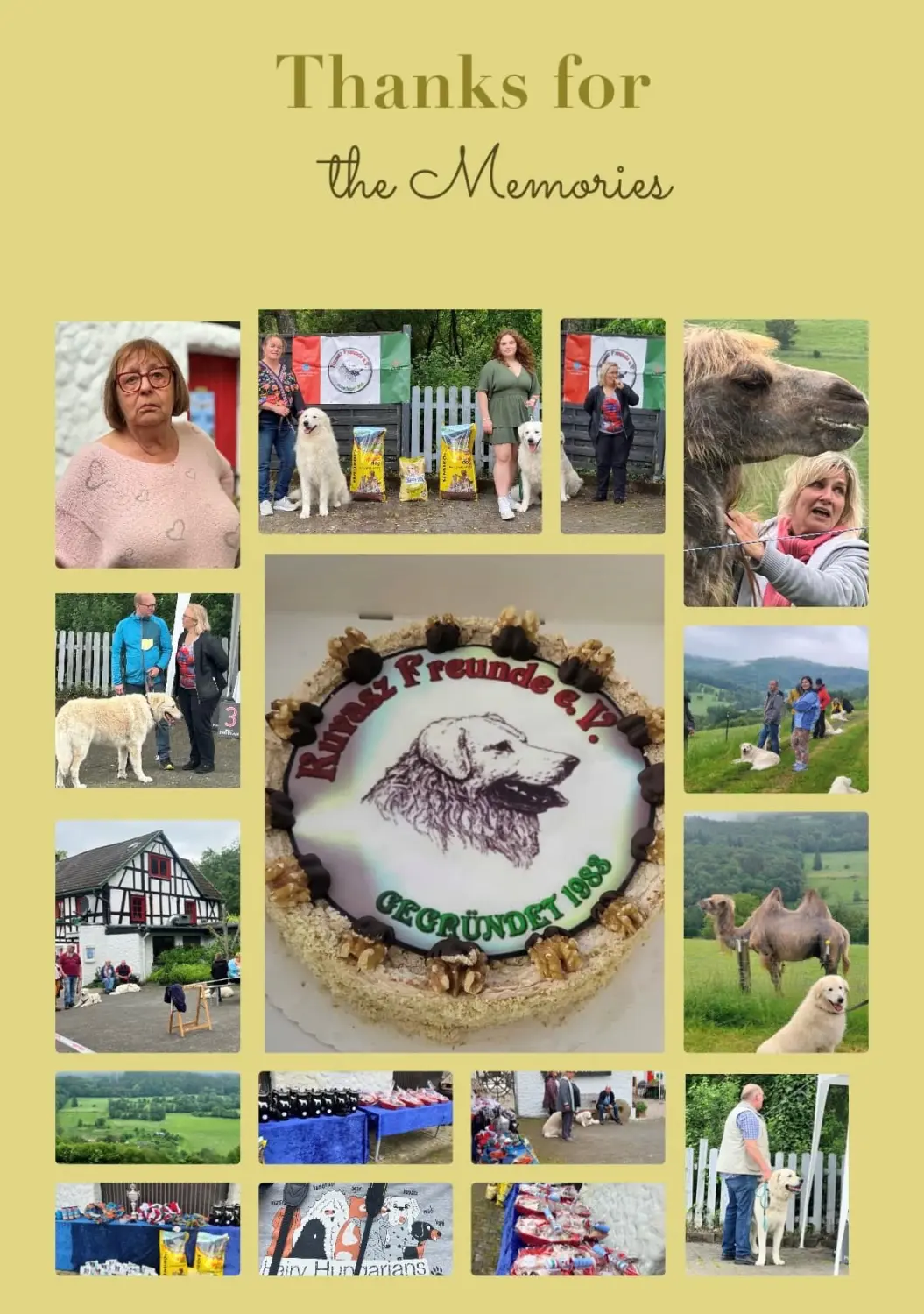 Flyer von Kuvasz-Freunde
