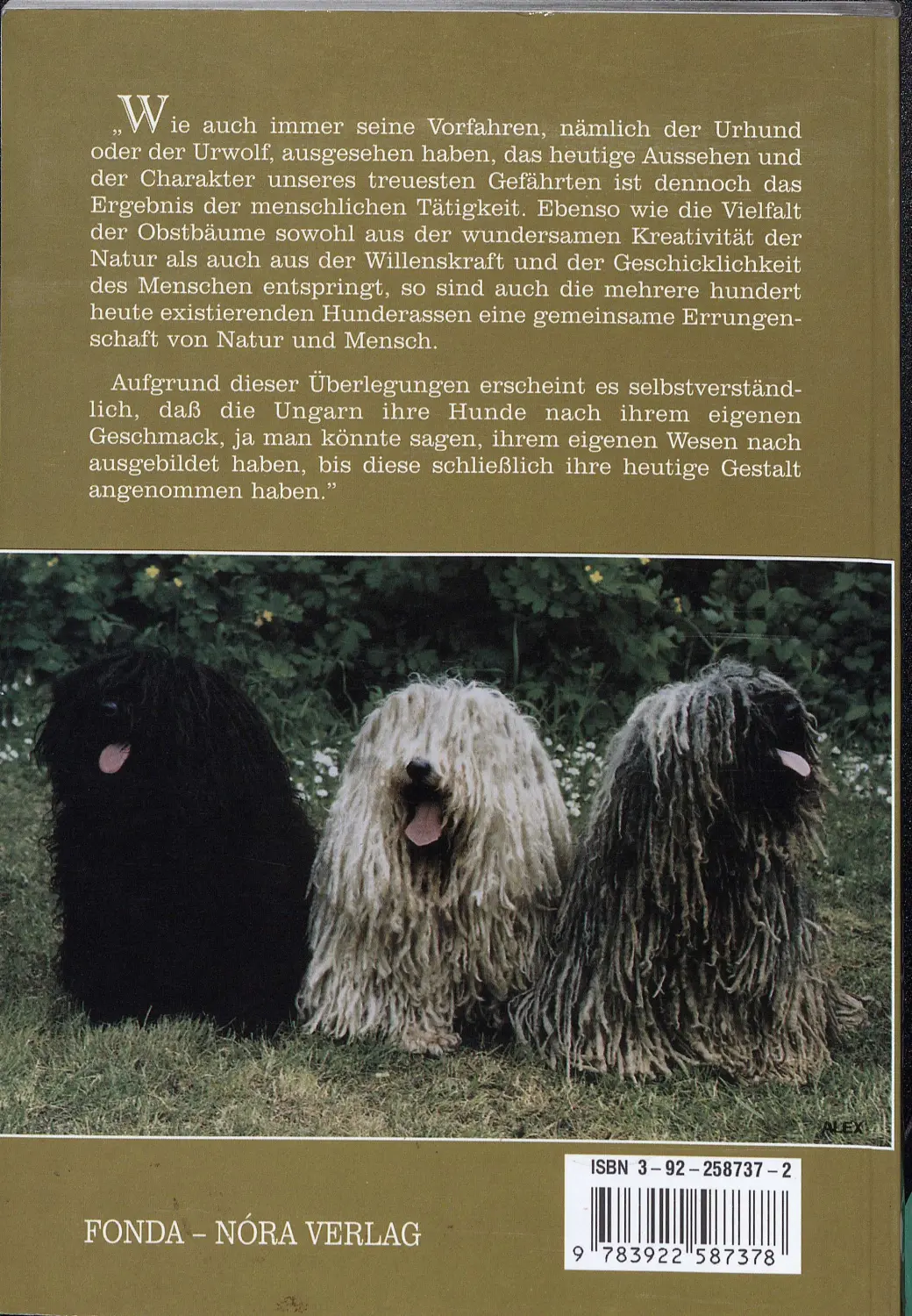 Ungarische Hunderassen – TiborBudzady von Kuvasz-Freunde