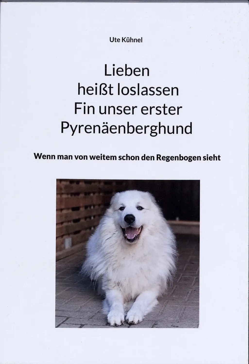 Lieben heißt loslassen Fin unser erster Pyrenäenberghund – Ute Kühnel von Kuvasz-Freunde