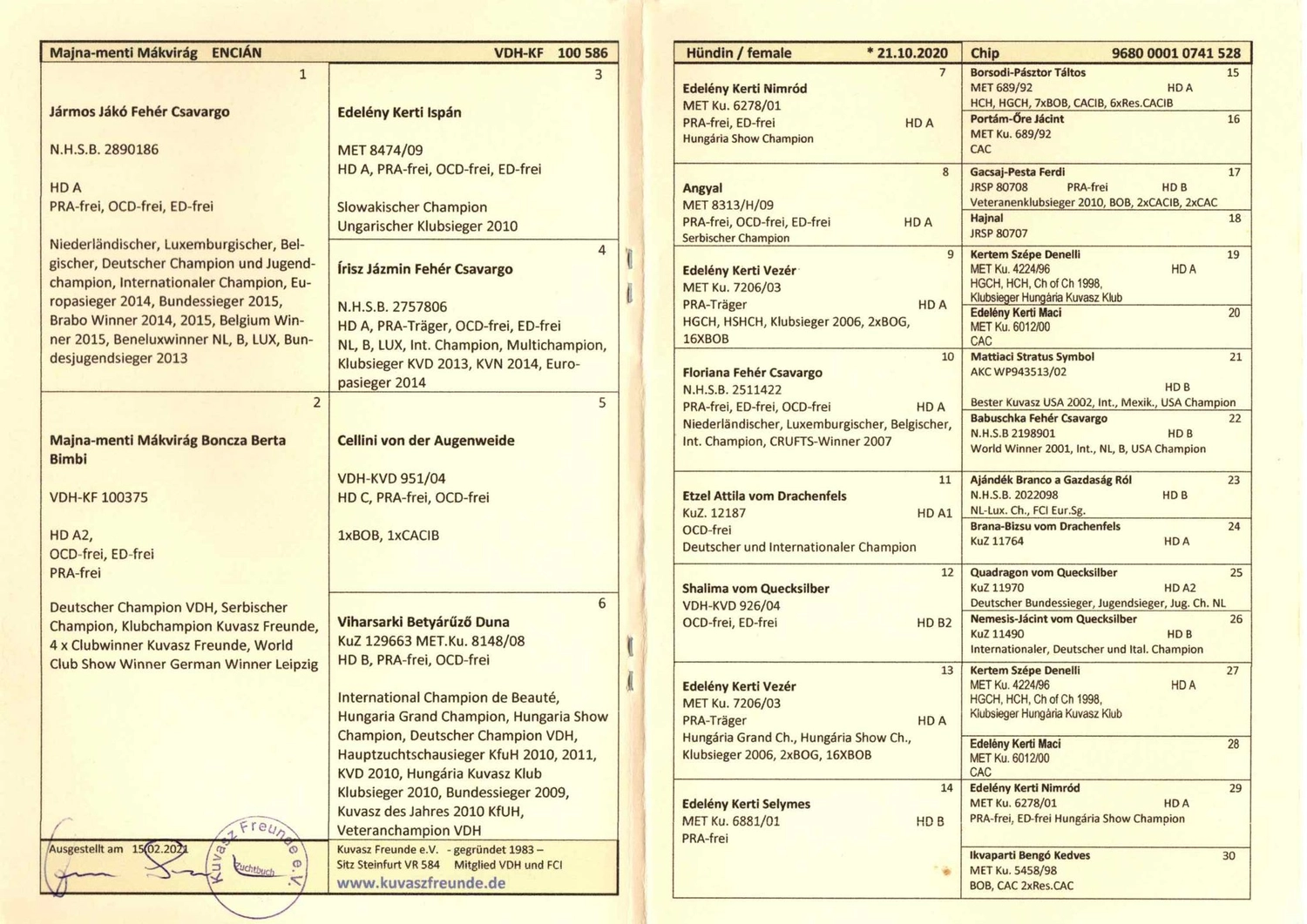 Zucht Hund von Kuvasz-Freunde