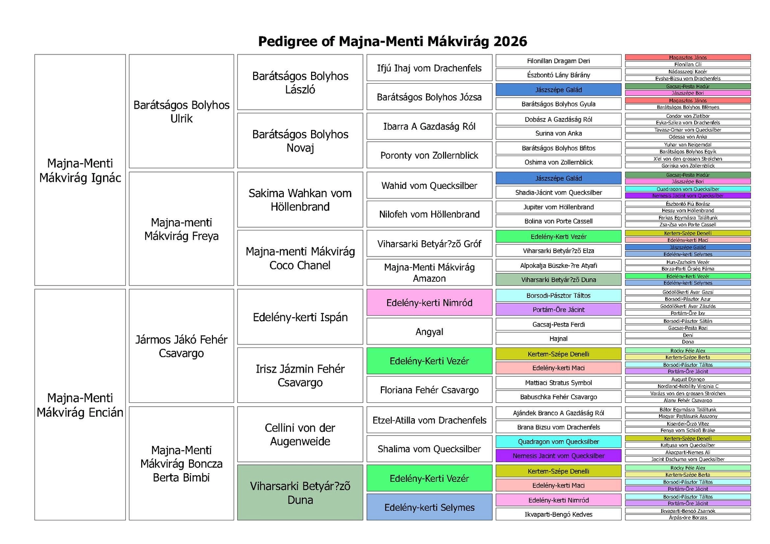 Zucht Hund von Kuvasz-Freunde