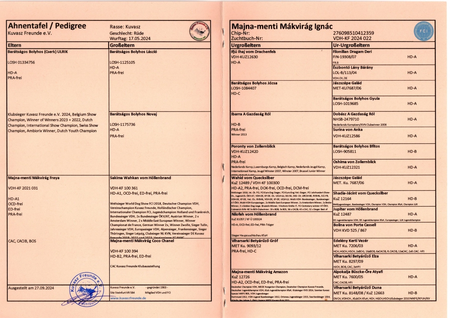 Zucht Hund von Kuvasz-Freunde